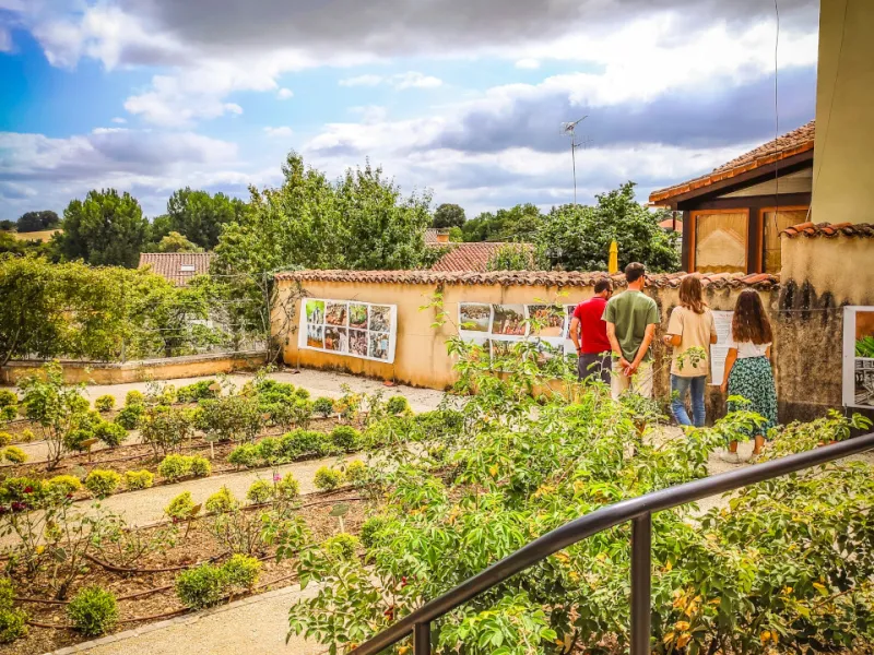 Jardin des Arts