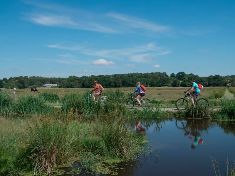 À vélo dans les Marais de Loire