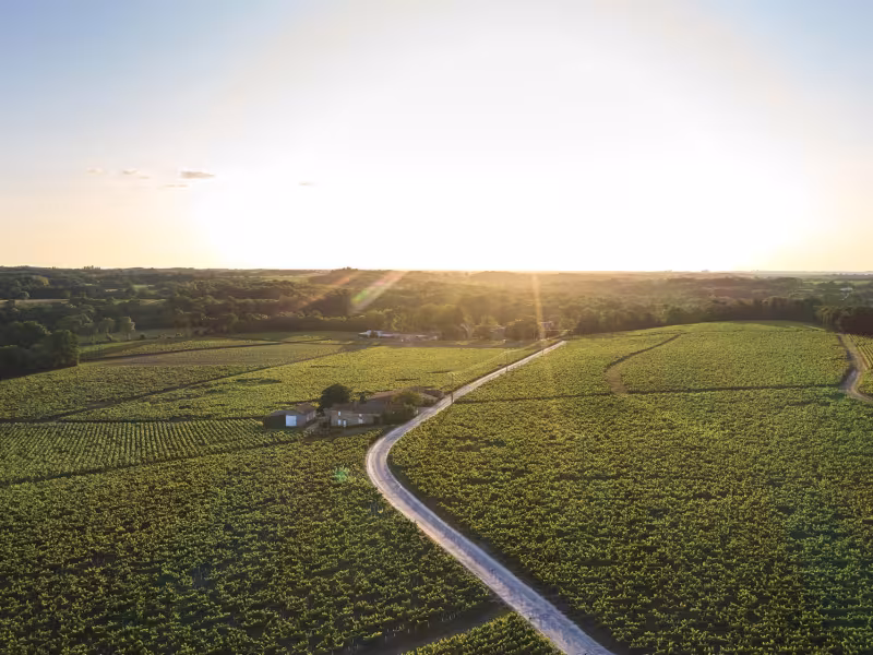 Route du Vignoble Nantais à vélo