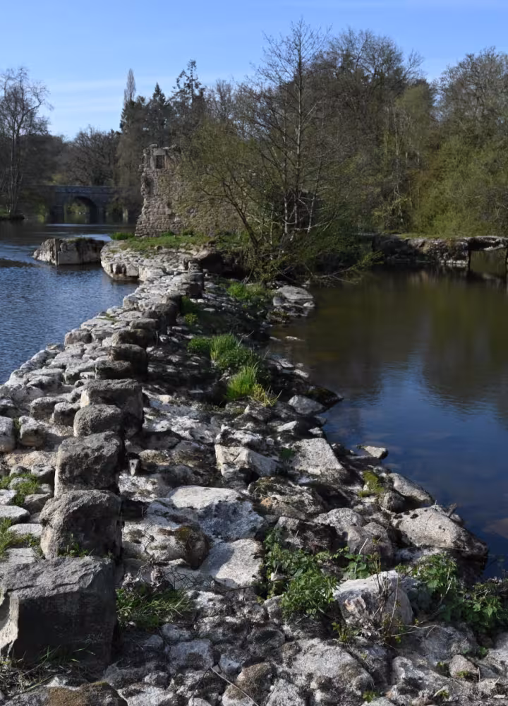 Vallée de la Sèvre Nantaise - La Vélidéale