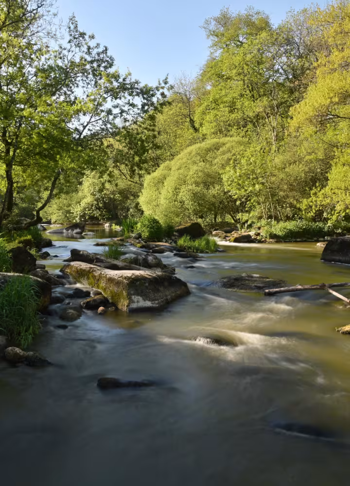 Vallée de la Sèvre Nantaise