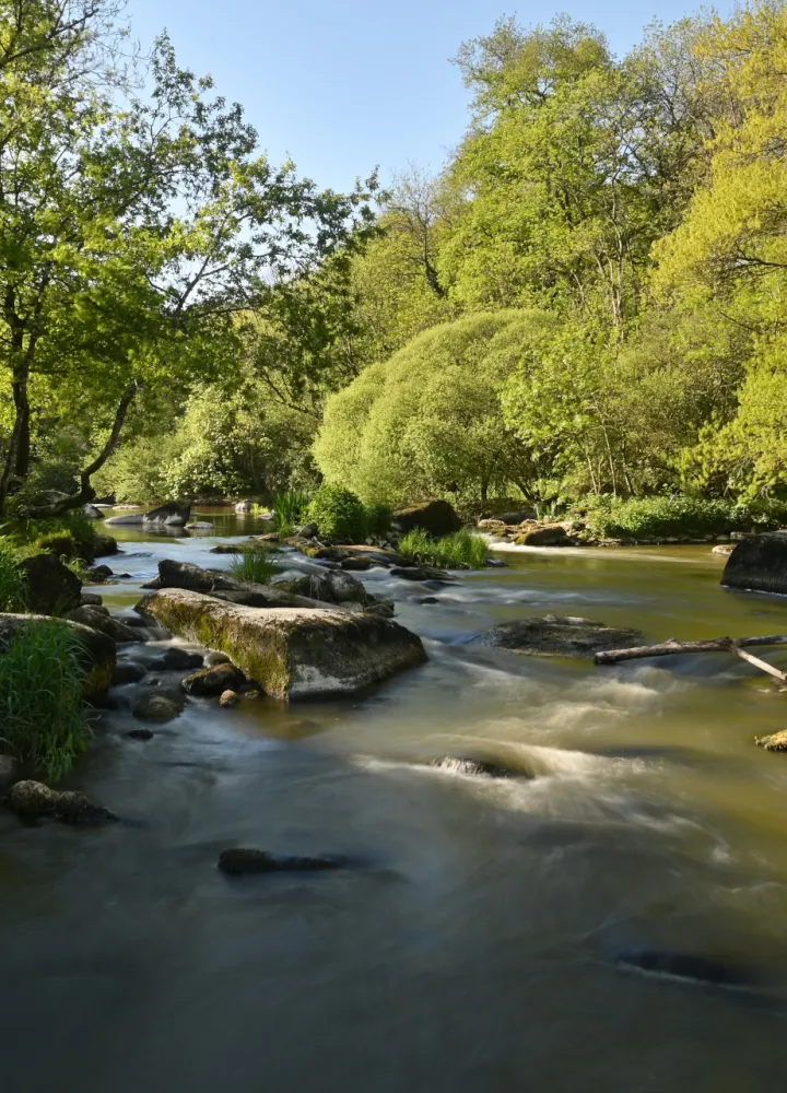Vallée de la Sèvre Nantaise