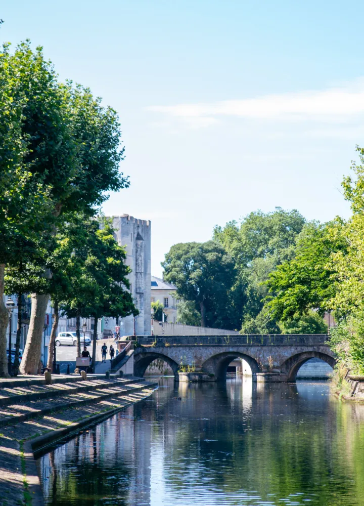 La Sèvre Niortaise à Niort