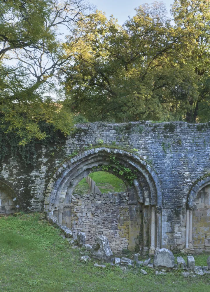 Ruines à Nanteuil en Vallée