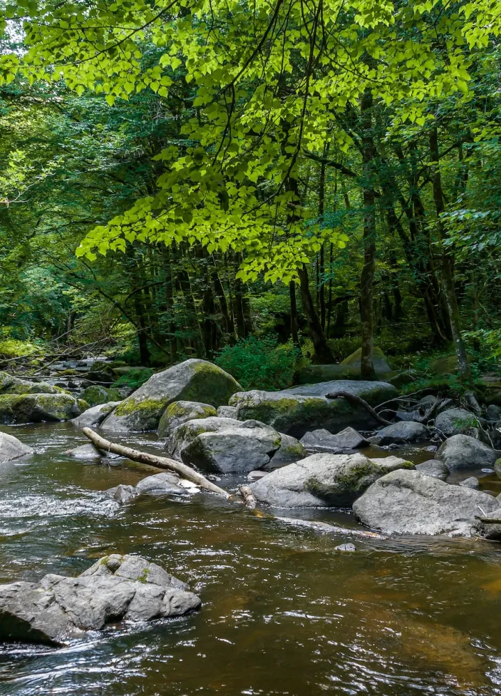 Saut du Chalard - PNR