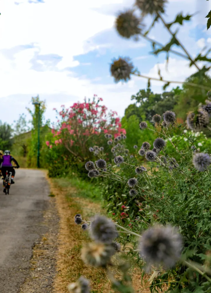 À vélo entre Barro et Condac