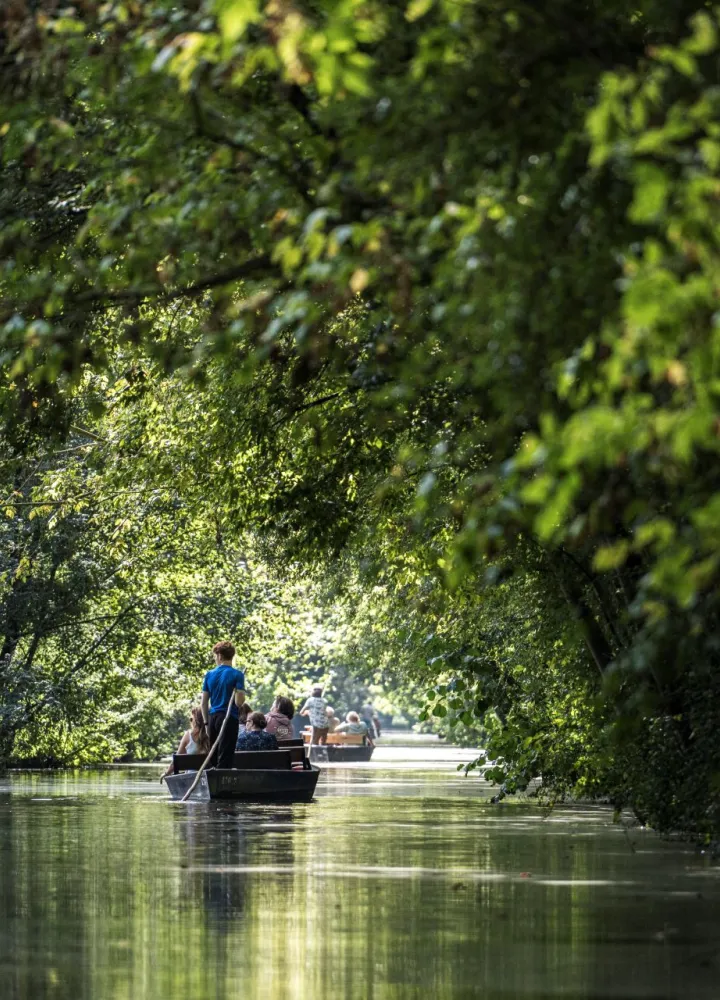 Balade en barque dans le Marais Poitevin
