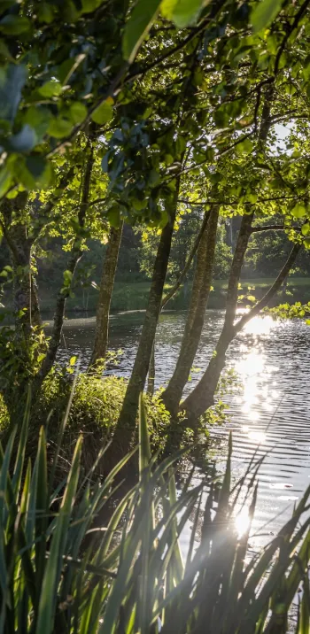 Saint-Pierre-de-Frugie -PNR