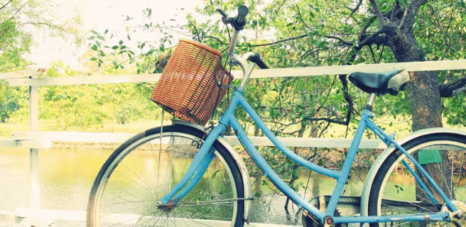 Le beau vélo de Robigo