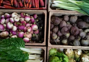 Les Jardins de la Grand Maison – Ferme maraîchère bio