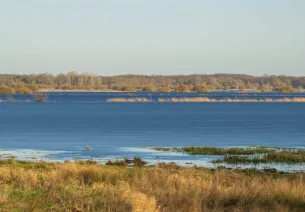 Le Lac de Grand-Lieu