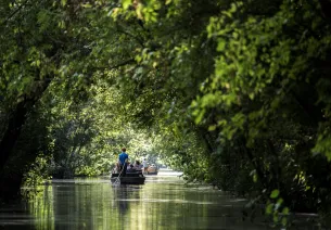 Balade en barque dans le Marais Poitevin