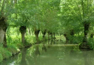 Le marais poitevin