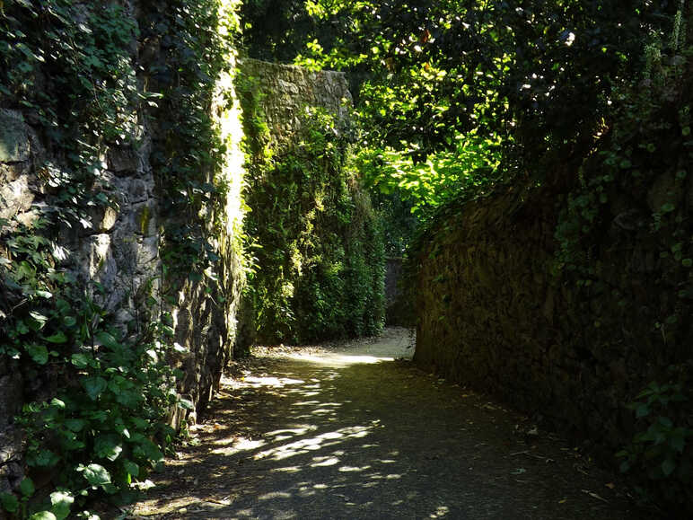 Ruelle Cuchaud