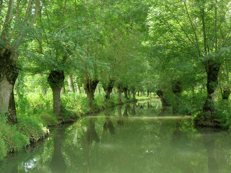 Le marais poitevin