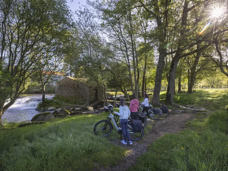 Moulin à Foulon à Cugand