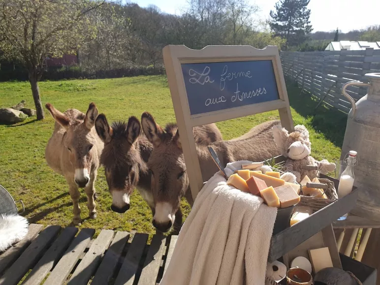 La Ferme aux Ânesses - Savons au lait d'ânesse bio